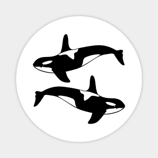 killer whale Magnet